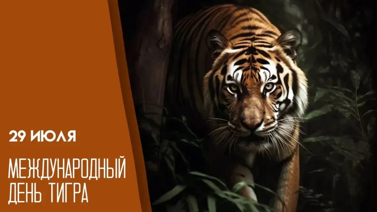 ☀️29 июля 2026 года, среда ☀️