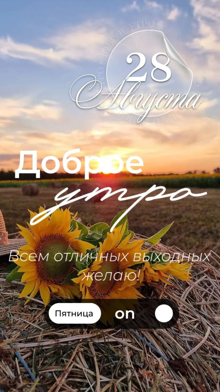 #пятница 📆