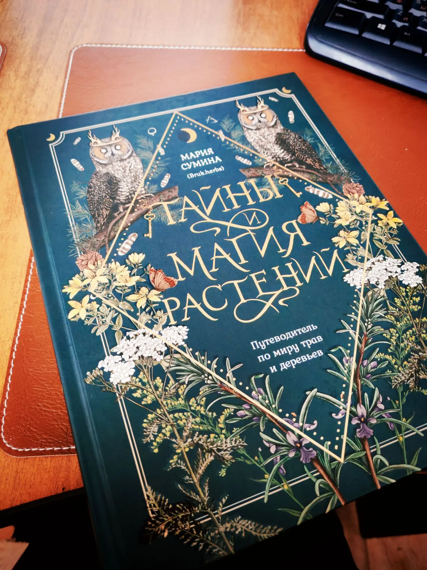 Еще летом в корзину закинула книгу, но пожалела денег, так и не заказала.