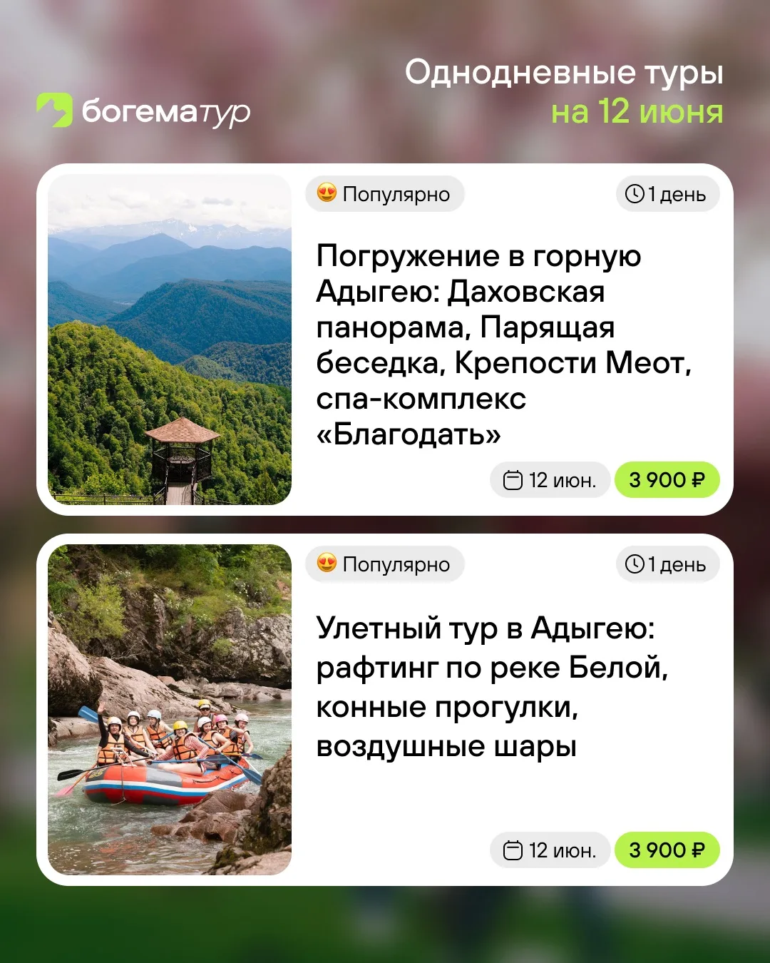 Праздничные туры в Адыгею — идеальный способ провести выходные ярко 💚