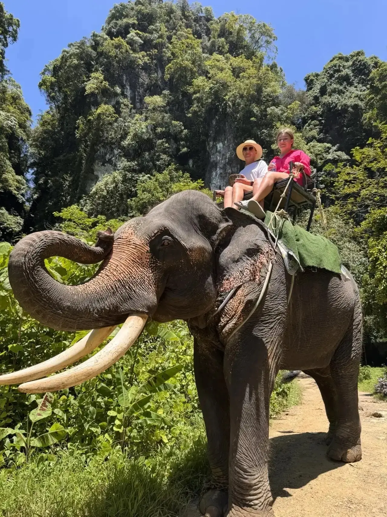 🌴☀️ КЛАССНОЕ ЛЕТО — ВРЕМЯ ДОБРЫХ ДЕЛ: летние истории от 7-Б класса! ➡️ https://vk.ru/wall-173059231