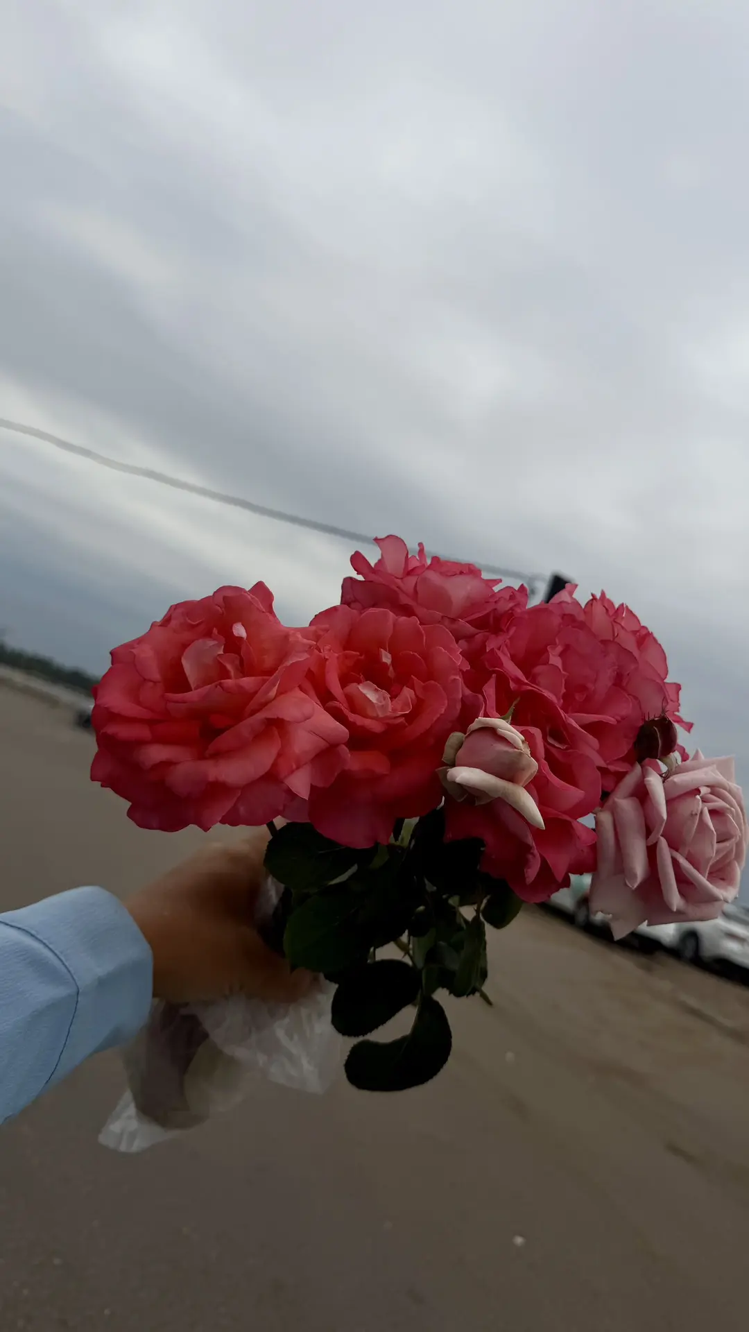 Ну какая красота у нас растет ❤️мы вернулись , у нас уже танцы