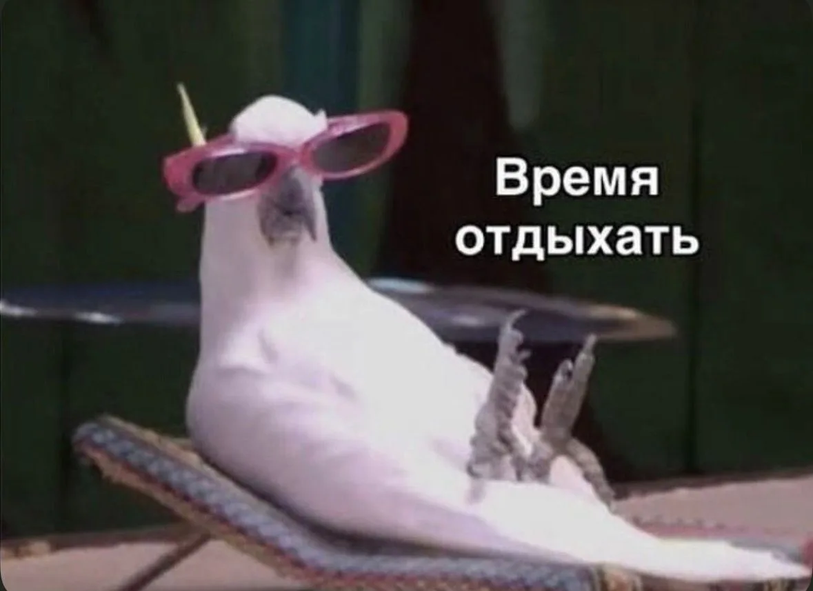 Друзья, с 17 августа мы в отпуске