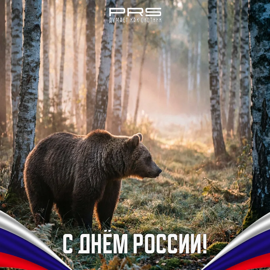 С Днём России! 🇷🇺
