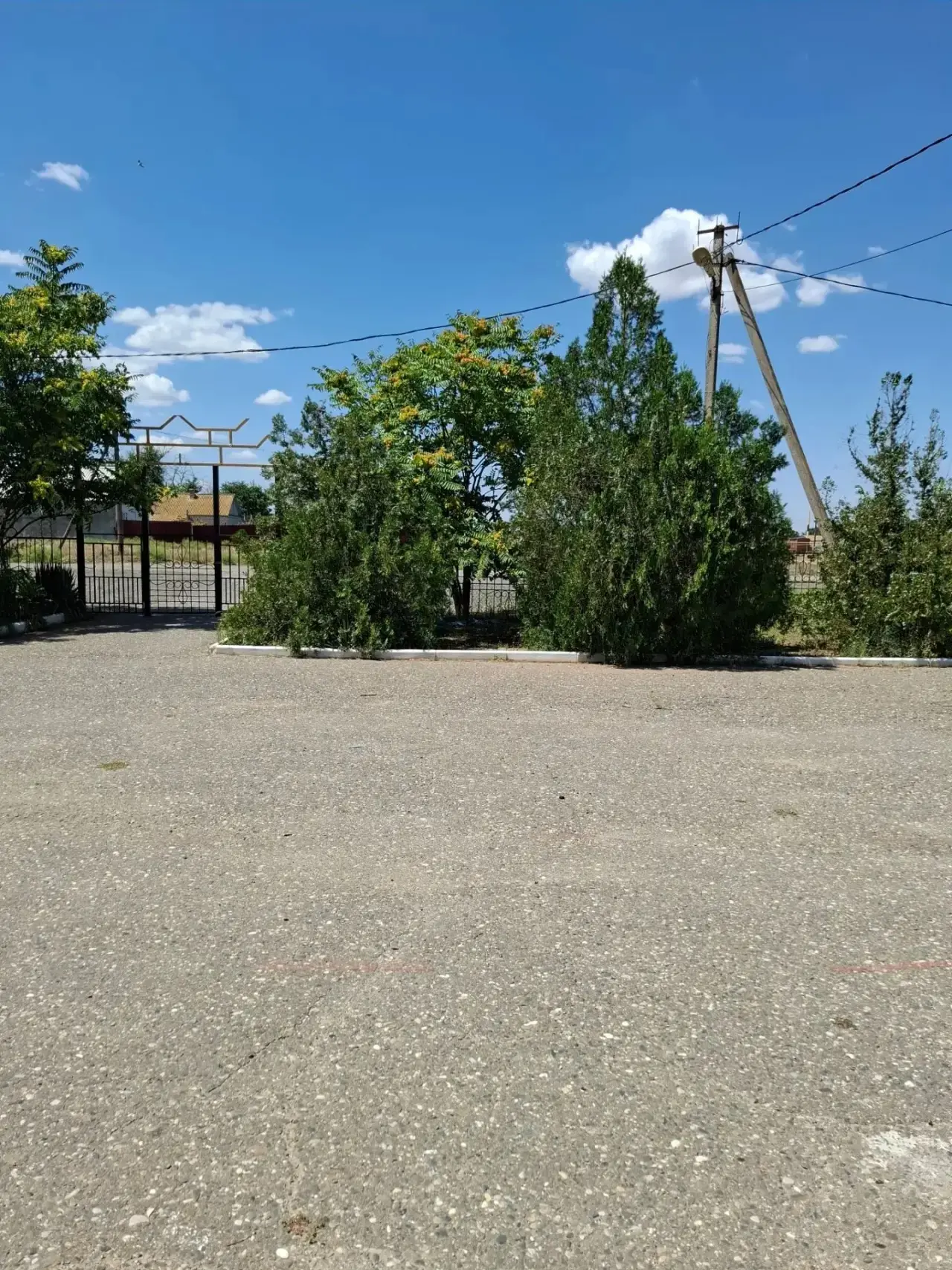 📌Жара не щадит ни людей, ни растения ☀️ Но у нашего двора есть надёжная защита — это уборщики, кото