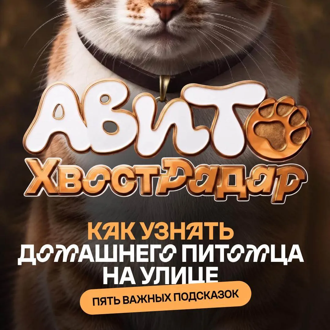 Изображение 1 к публикации «Авито»