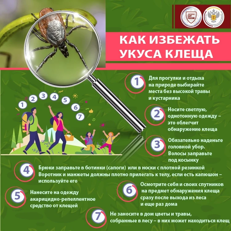 19 июня - Всемирный день прогулки

🌞🏃Тёплое время года — идеальная пора для прогулок на свежем воз