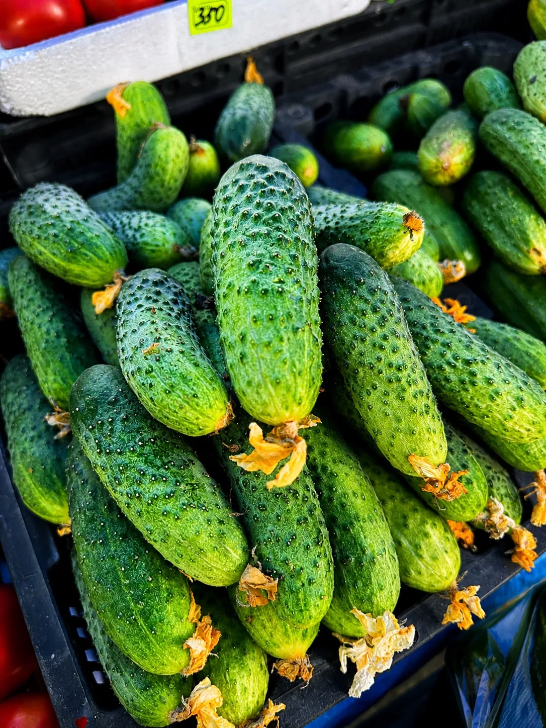 Летняя ярмарка выходного дня в ЭкоДоме — глаз радуется! 🍓🍎🍉🥬🌽🫜🥔