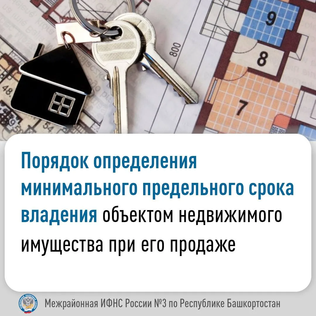 Представить налоговую декларацию по налогу на доходы физических лиц по форме 3-НДФЛ в с...