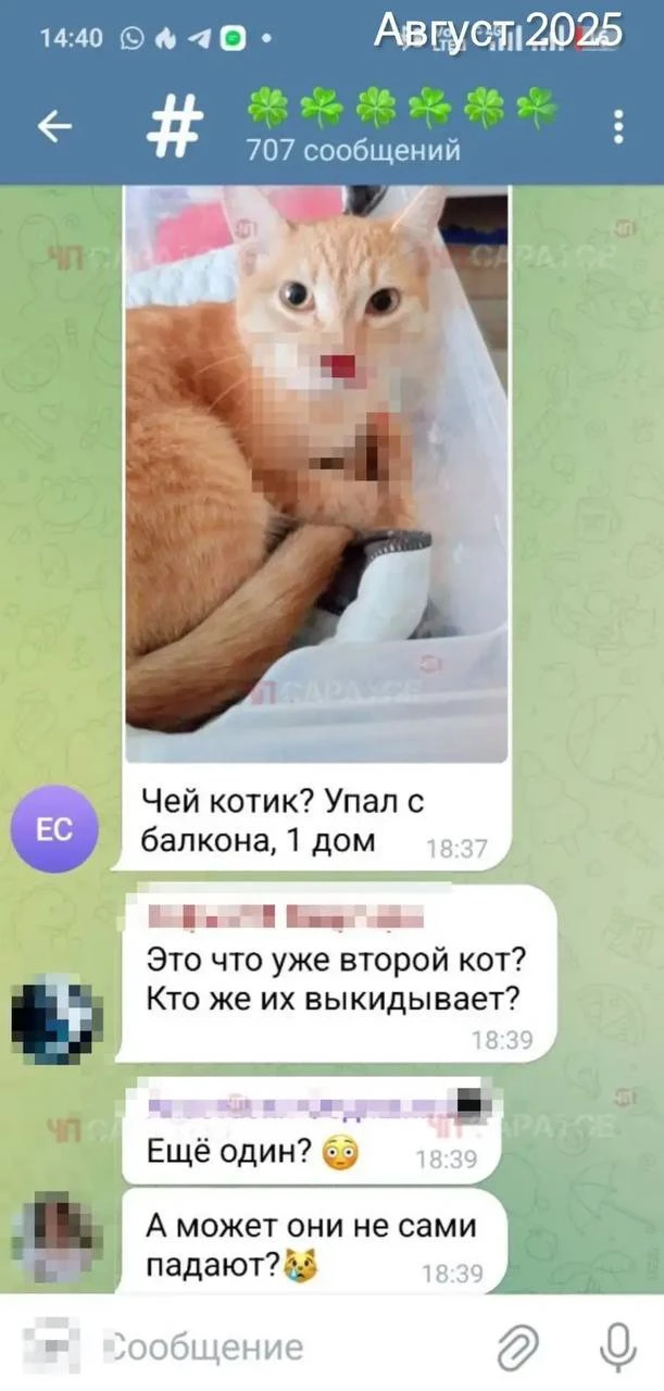 Хотим обратить внимание на вопиющий случай жестокого обращения с животными. Сегодня с о...