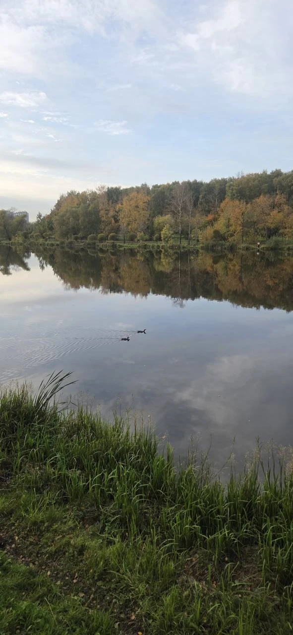 Начинаем понедельник с великолепных видов Джамгаровского пруда от соседки.