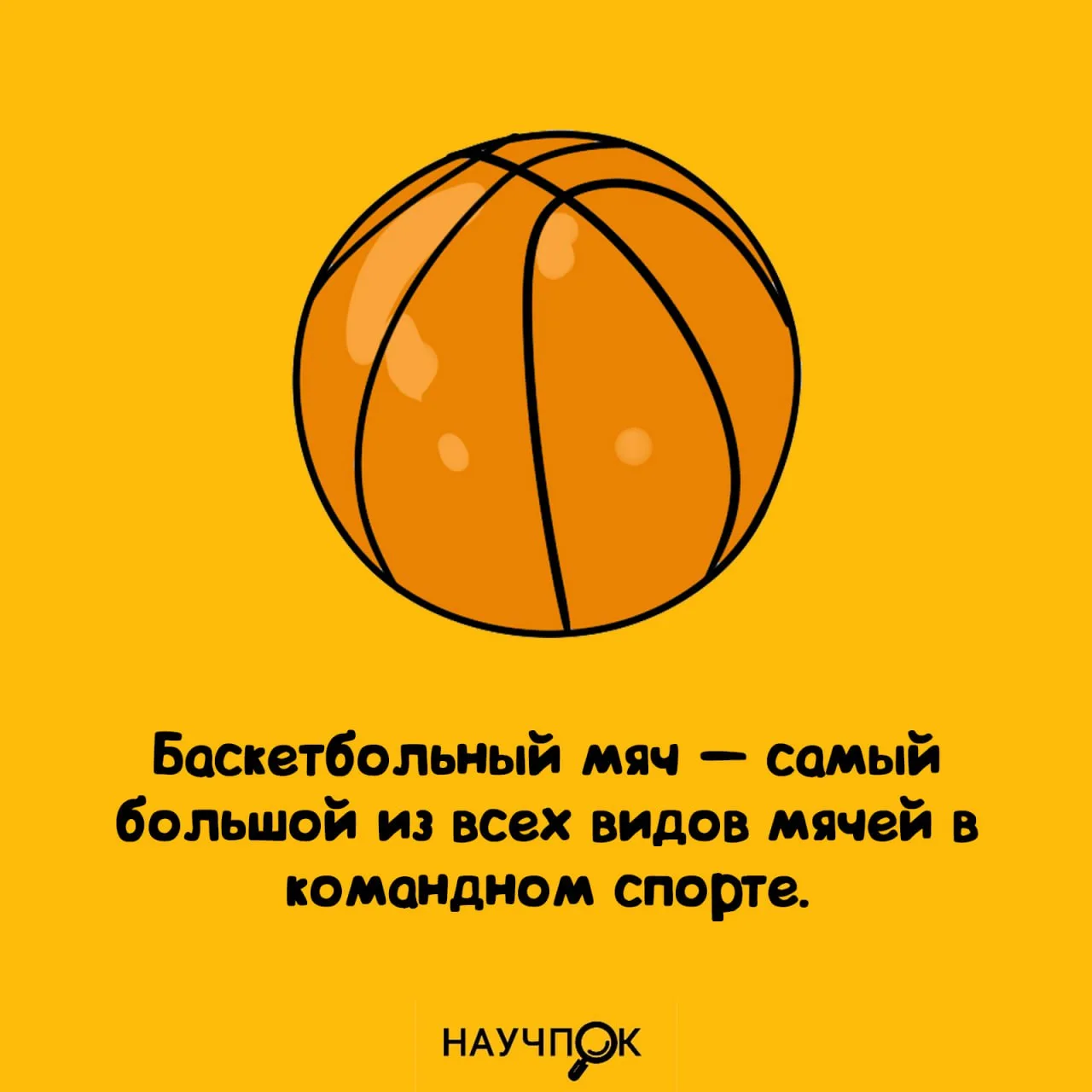 Страшно что таким зарядят в голову 🏀