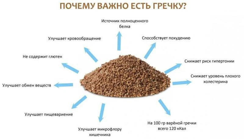 Самая полезная каша - гречка