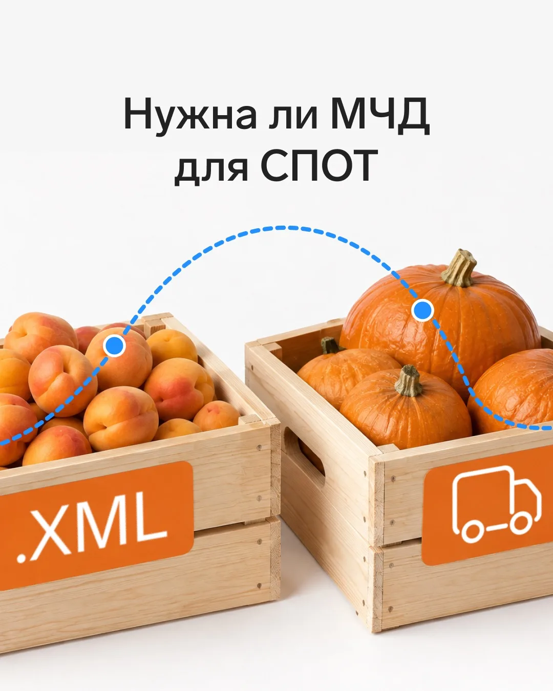 Нужна ли МЧД для работы со СПОТ
