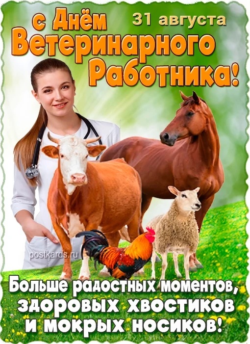 Коллектив ОБУ"Боровичская райветстанция" сердечно поздравляет  с днем ветеринарного врача!