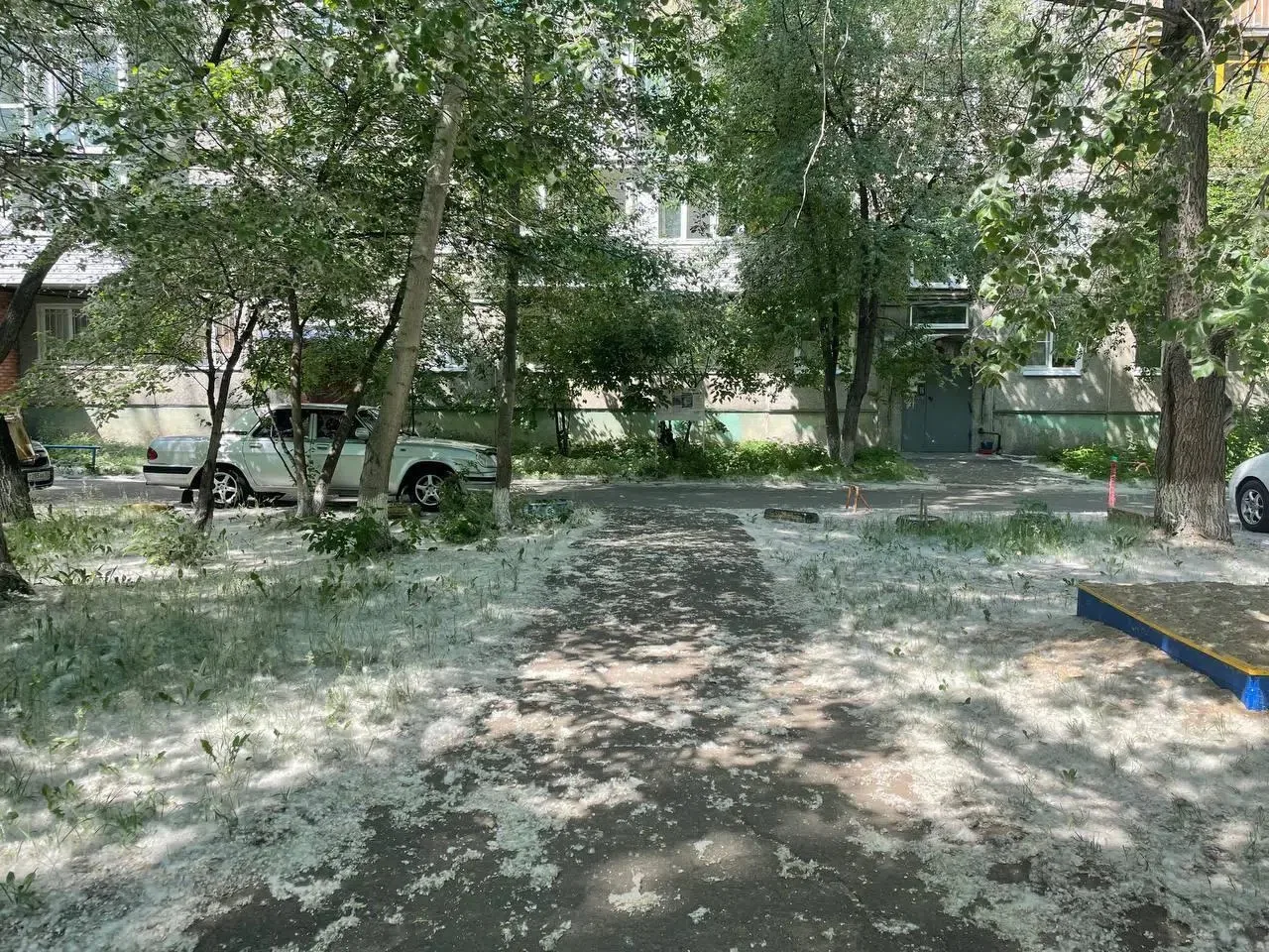‼️Пишут: Так бл..тъ, поджигатели чеПУХОВЫЕ, хорош жечь пуууууууух! Кто жжёт пух - чеПУХ...