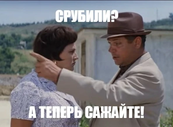 Новые берёзы на Савушкина приставы заставили высадить Управляющую компанию, которая их ...