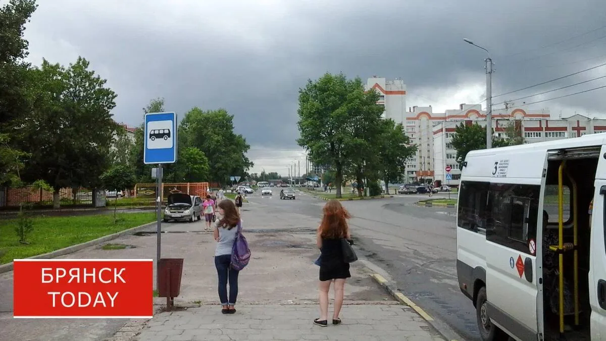 Брянцев спросили, на каких остановках нужны большие мусорные баки