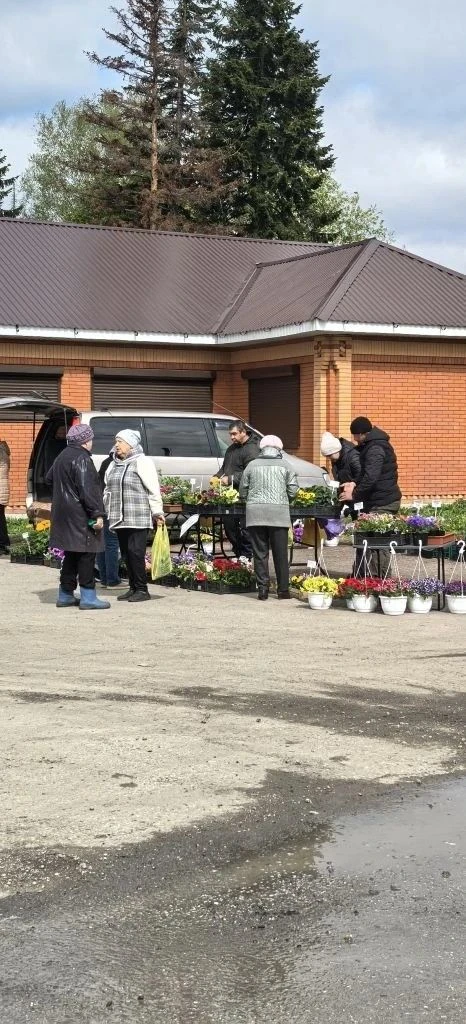 Сегодня на конечной остановке деревни Александровка проходит ярмарка "Дачная суббота".   В широком а
