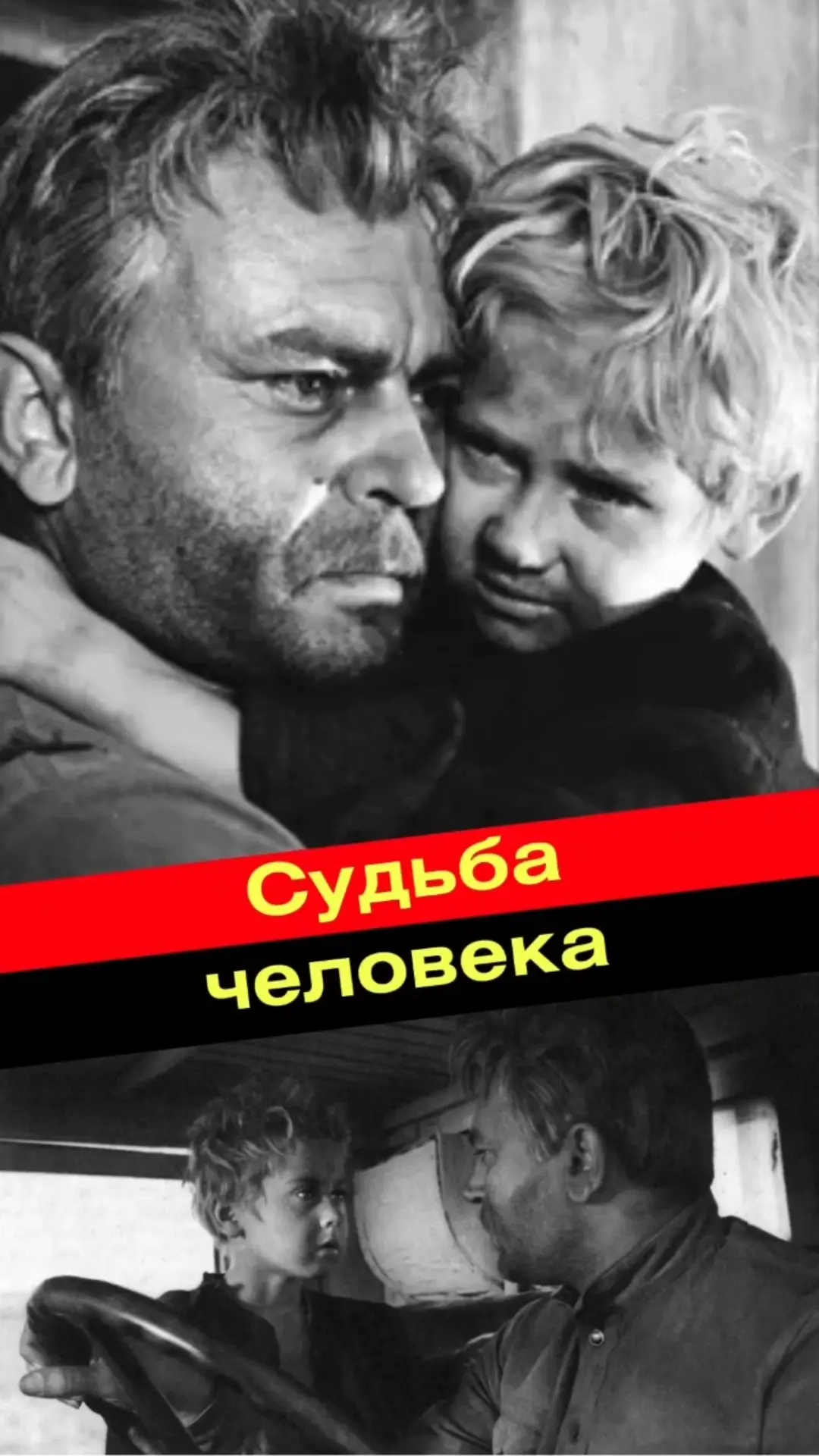 Светлана Сергеевна рекомендует ...                                                                  