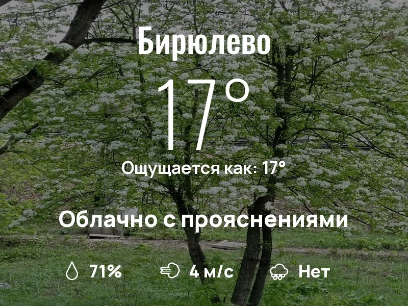 Что с погодой в Бирюлево?