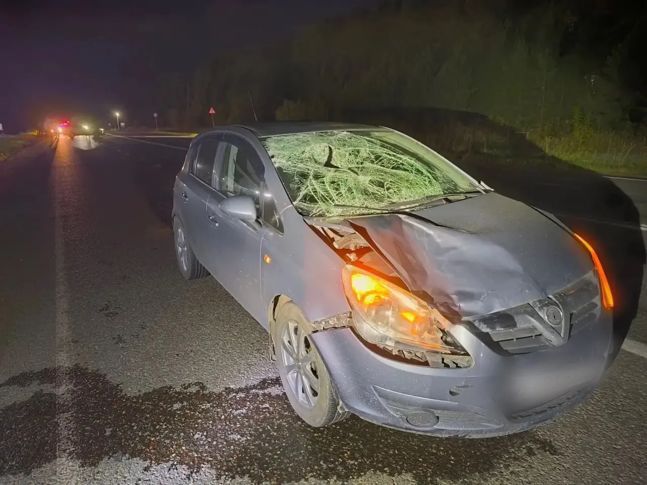 На загородной трассе в Завьяловском районе в дорожной аварии погиб пешеход