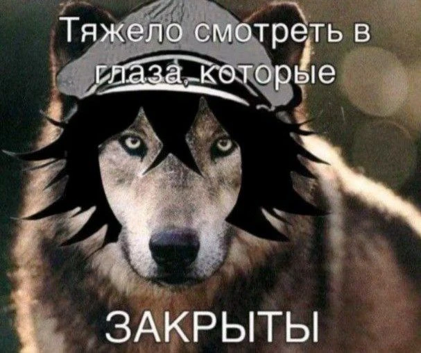 Все наши каналы
