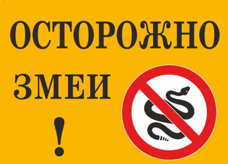 Памятка при укусах змей

За последние несколько лет в связи с изменением климатических условий и уве