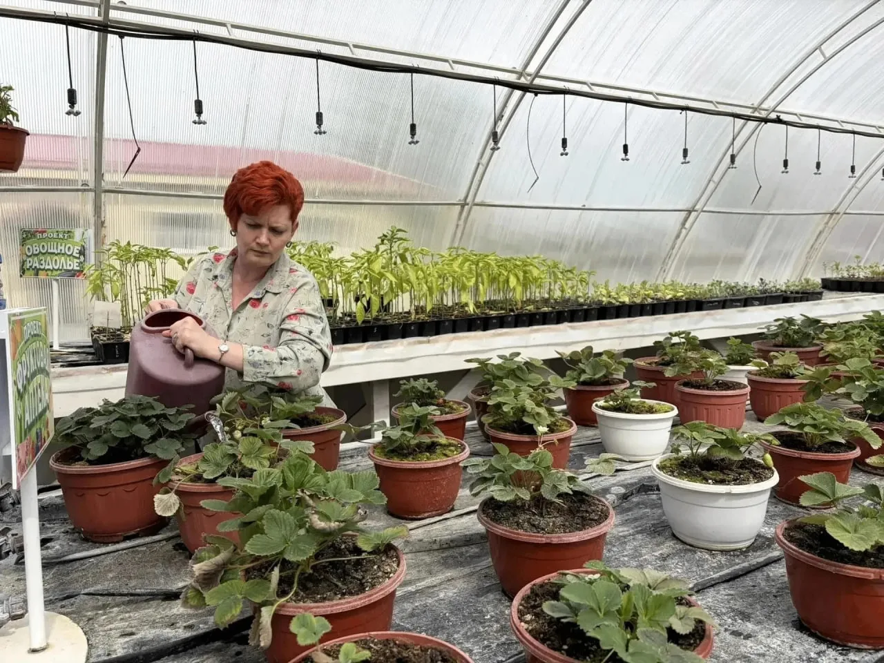 👩‍🌾 Две жительницы Кузбасса представят регион на всероссийском конкурсе «Женщины в АПК»

Ирина Глу