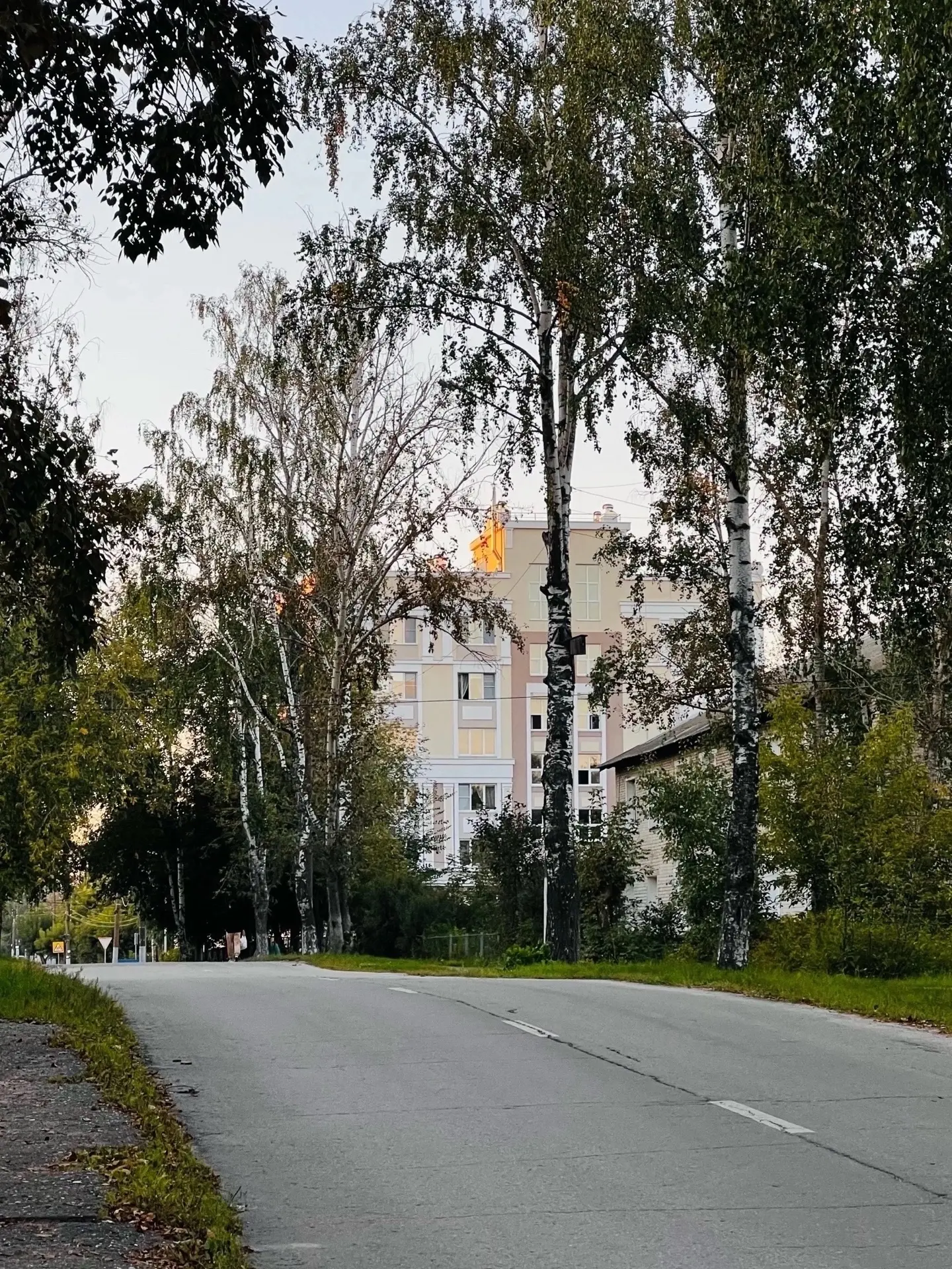 В Нижегородской области на выходных прогнозируют первые заморозки. По данным региональн...