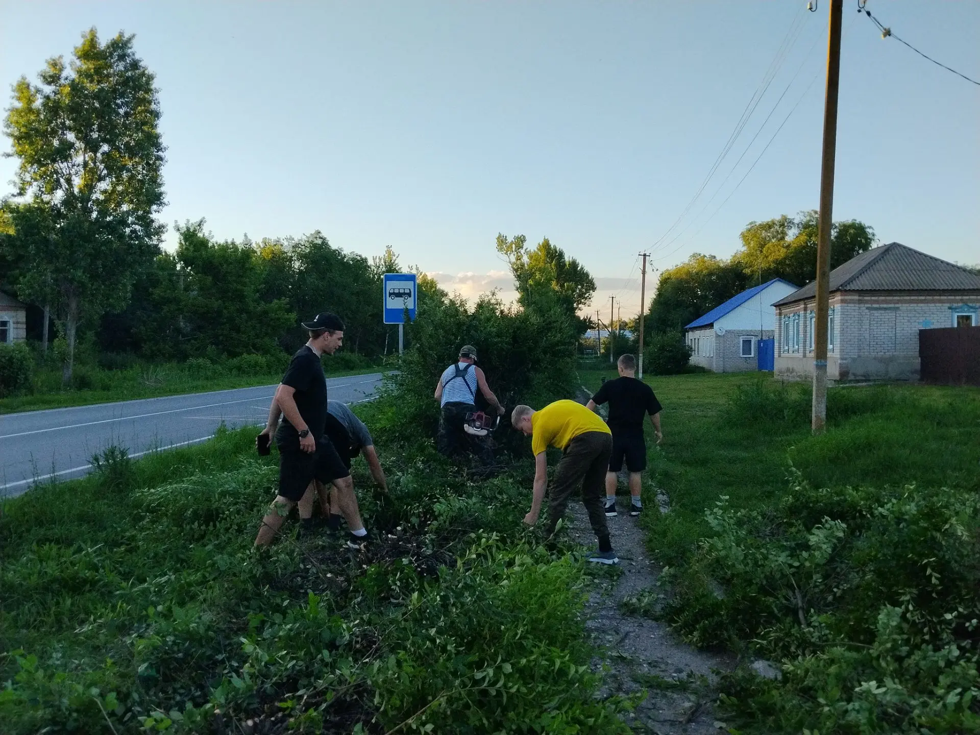 Сегодня в селе Покровка начата вырубка кустарника, вдоль тротуара по ул Центральная.