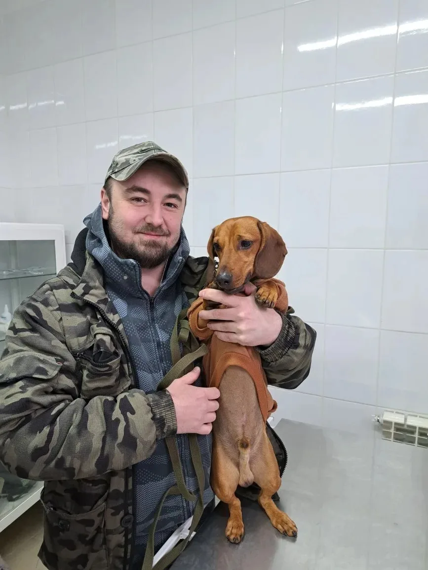😔Очередной хвостатый, проигравший в "Съедобное-несъедобное"...