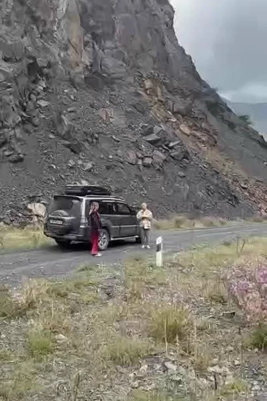 Медведи по дороге в село Гдым , Ахтынский район