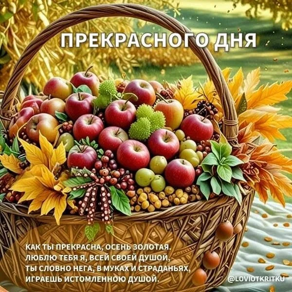 👉 Открытки в MAX – подписывайтесь
