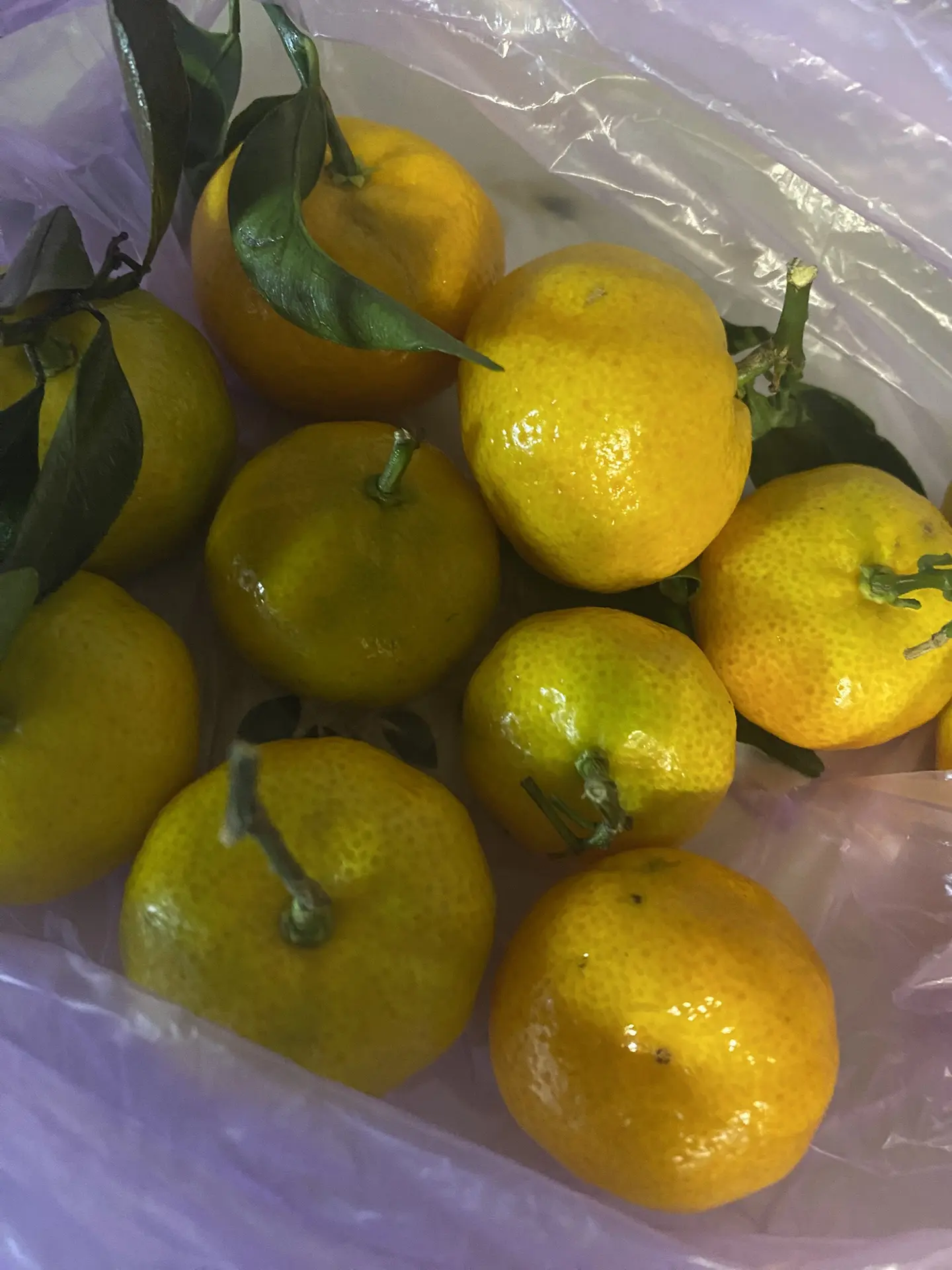 Бейбики мои любимые мандарины 🍊