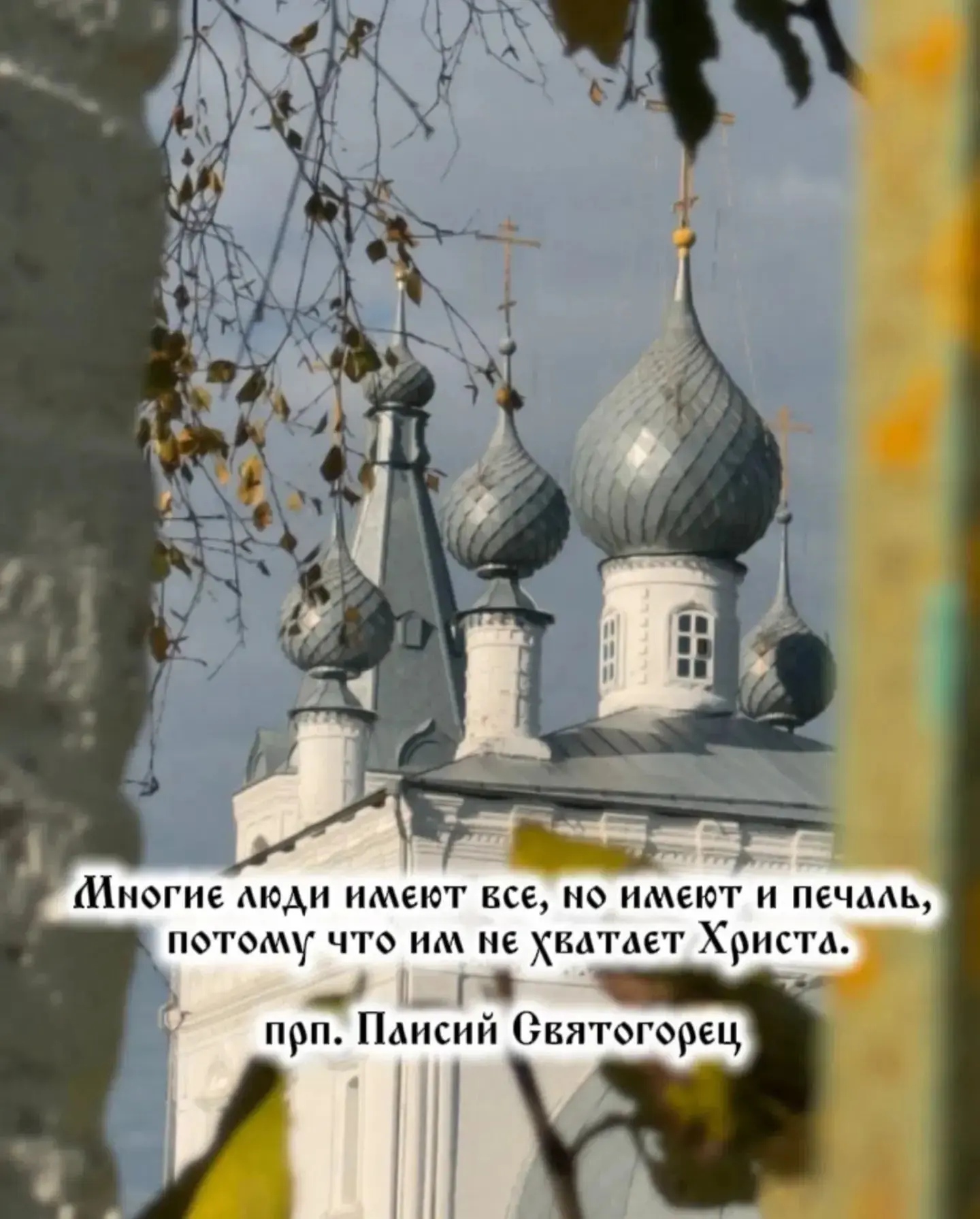 Сказал Господь Иисус Христос: написано, что не хлебом одним будет жить человек, но всяк...