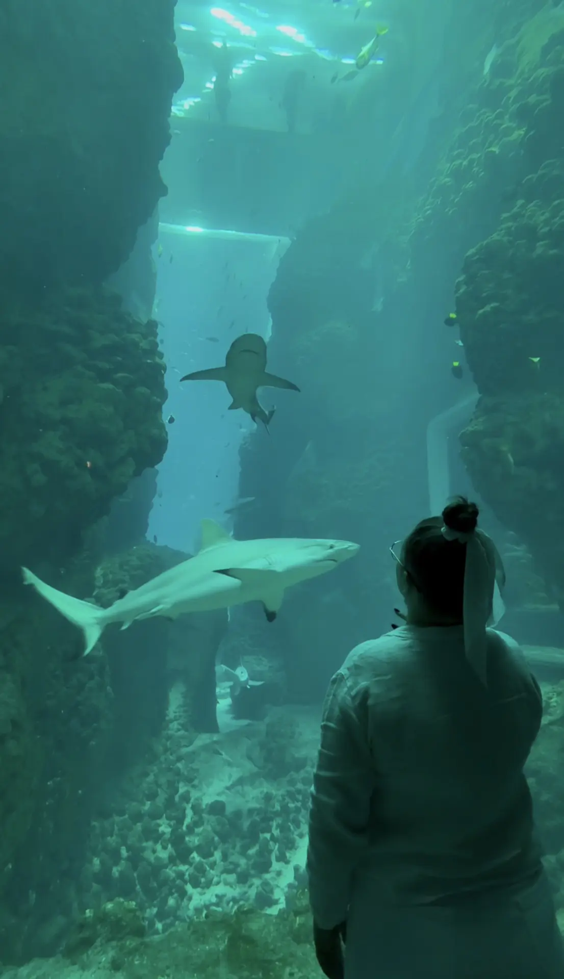 Фотокарточки со вчерашнего дня еще🫂🦈
