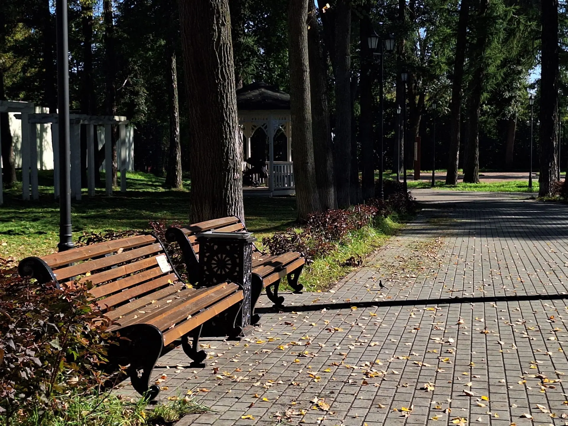 Сентябрь - такой разный...