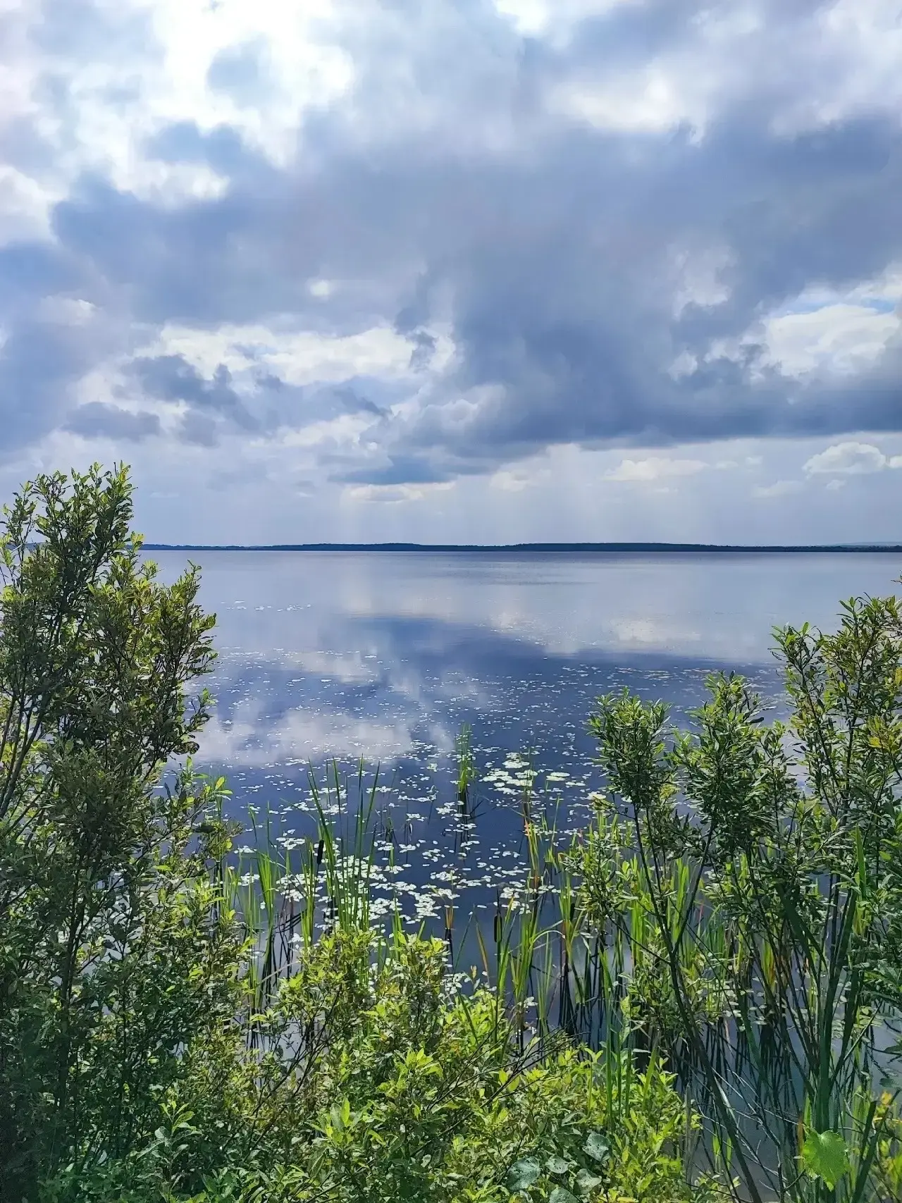 🌲 Лесная красота Пермского края — тишина, свежий воздух и бесконечная зелень вокруг. З...