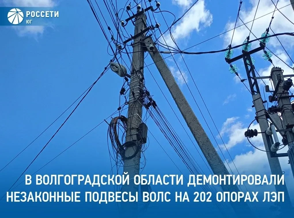 С начала 2026 года специалисты филиала #РоссетиЮг – #Волгоградэнерго демонтировали неза...