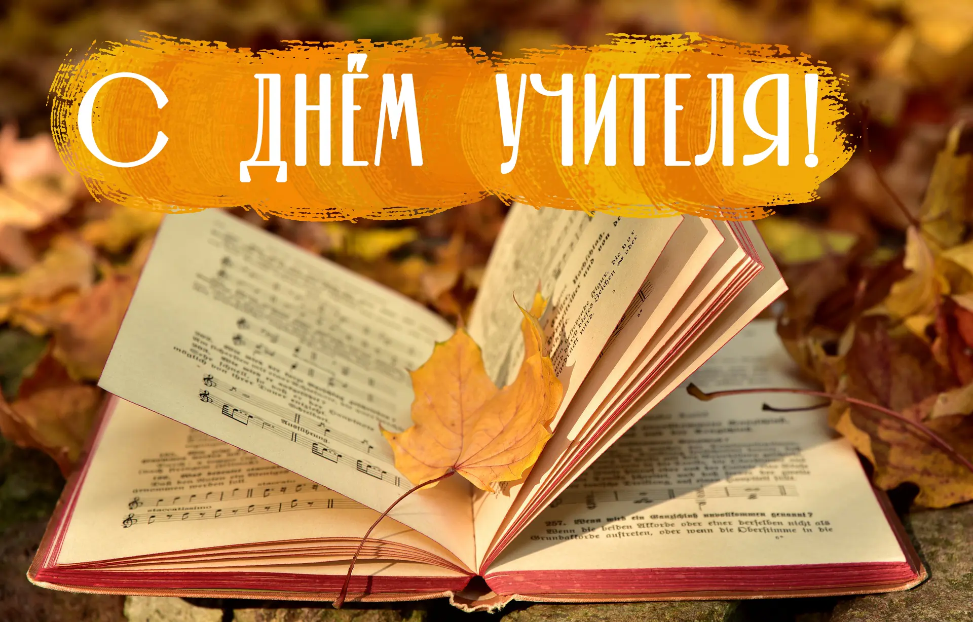 Дорогие педагоги и ветераны педагогического труда нашего училища культуры, с Днём учите...