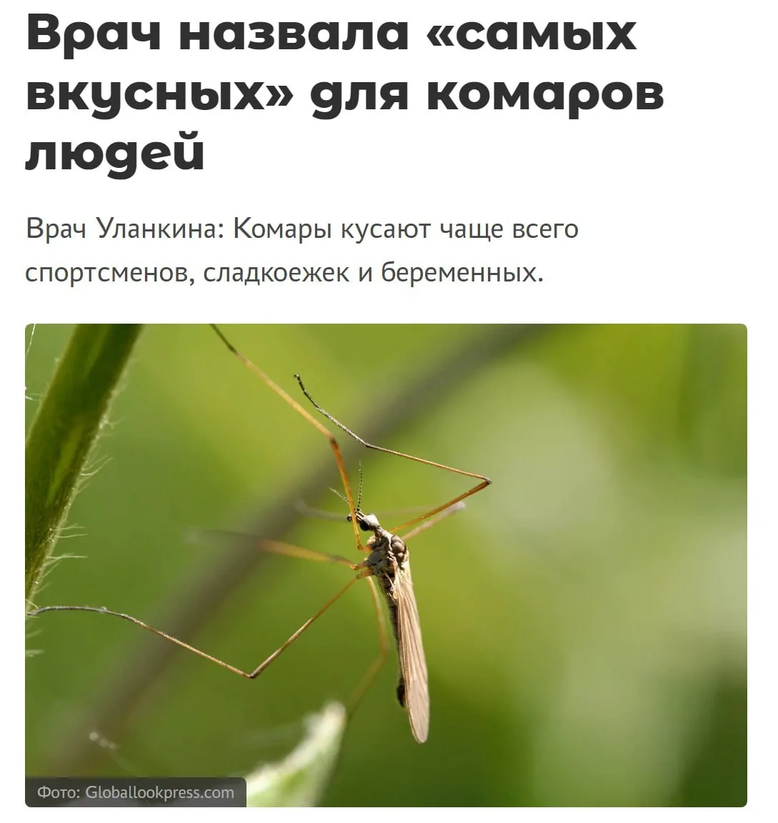 Сладкоежки — главная мишень для комаров, заявили врачи

В первую очередь кровососы ориентируются на 