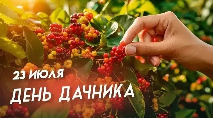 Доброе утро