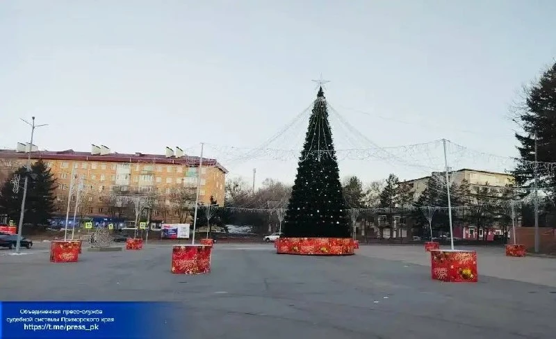 «Снять игрушки с ёлки»: в Партизанске мужчины поплатились за новогодний криминал.  Двое жителей горо