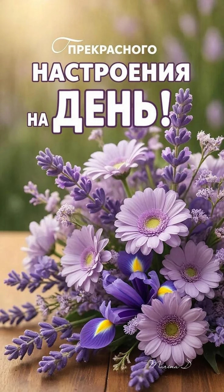 Подпишись 👇
