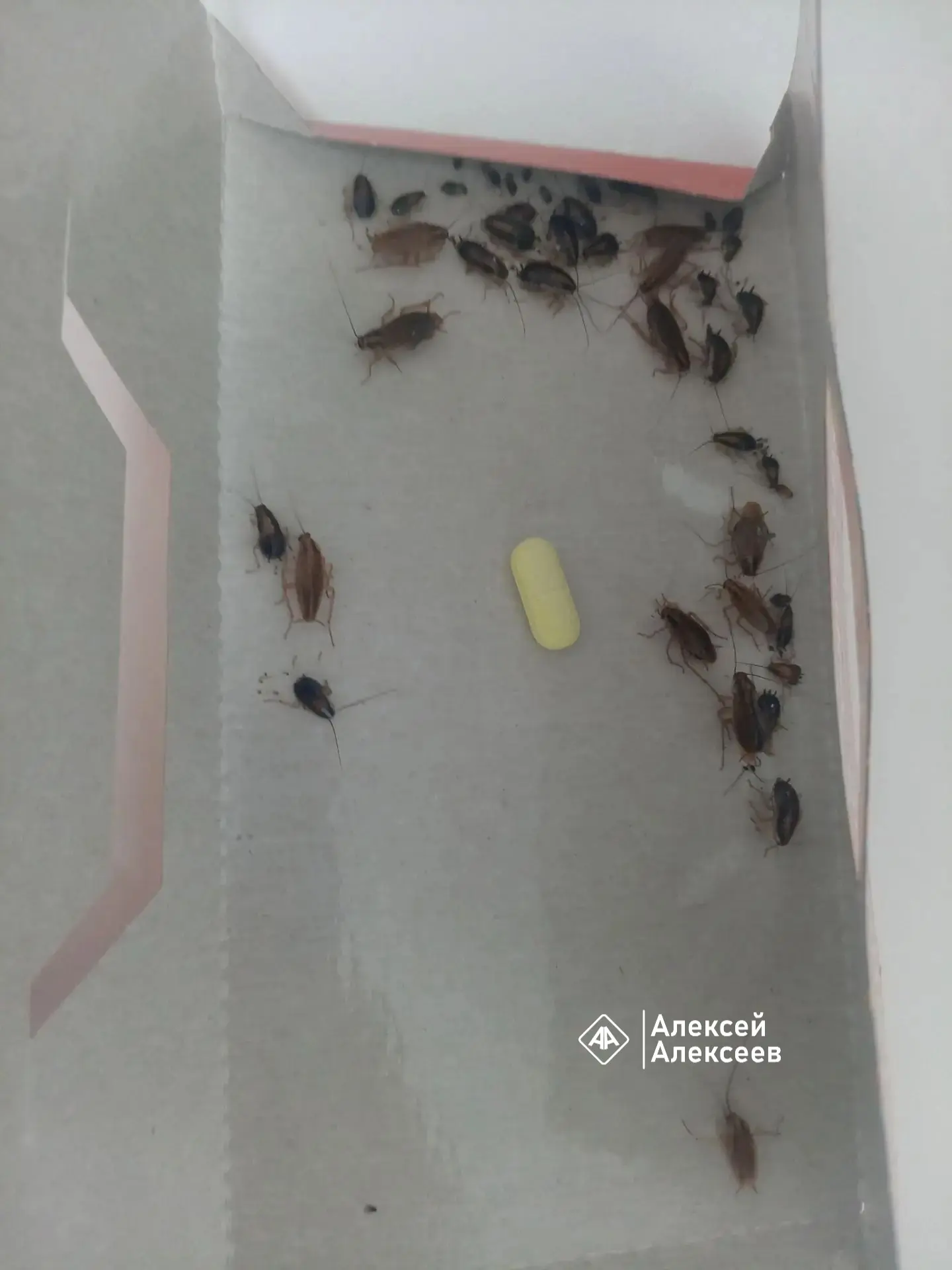 Враньё!