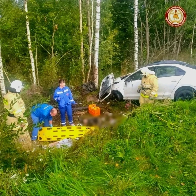 В экстренные службы поступило сообщение о ДТП на автодороге «Любытино-Неболчи-Бокситого...