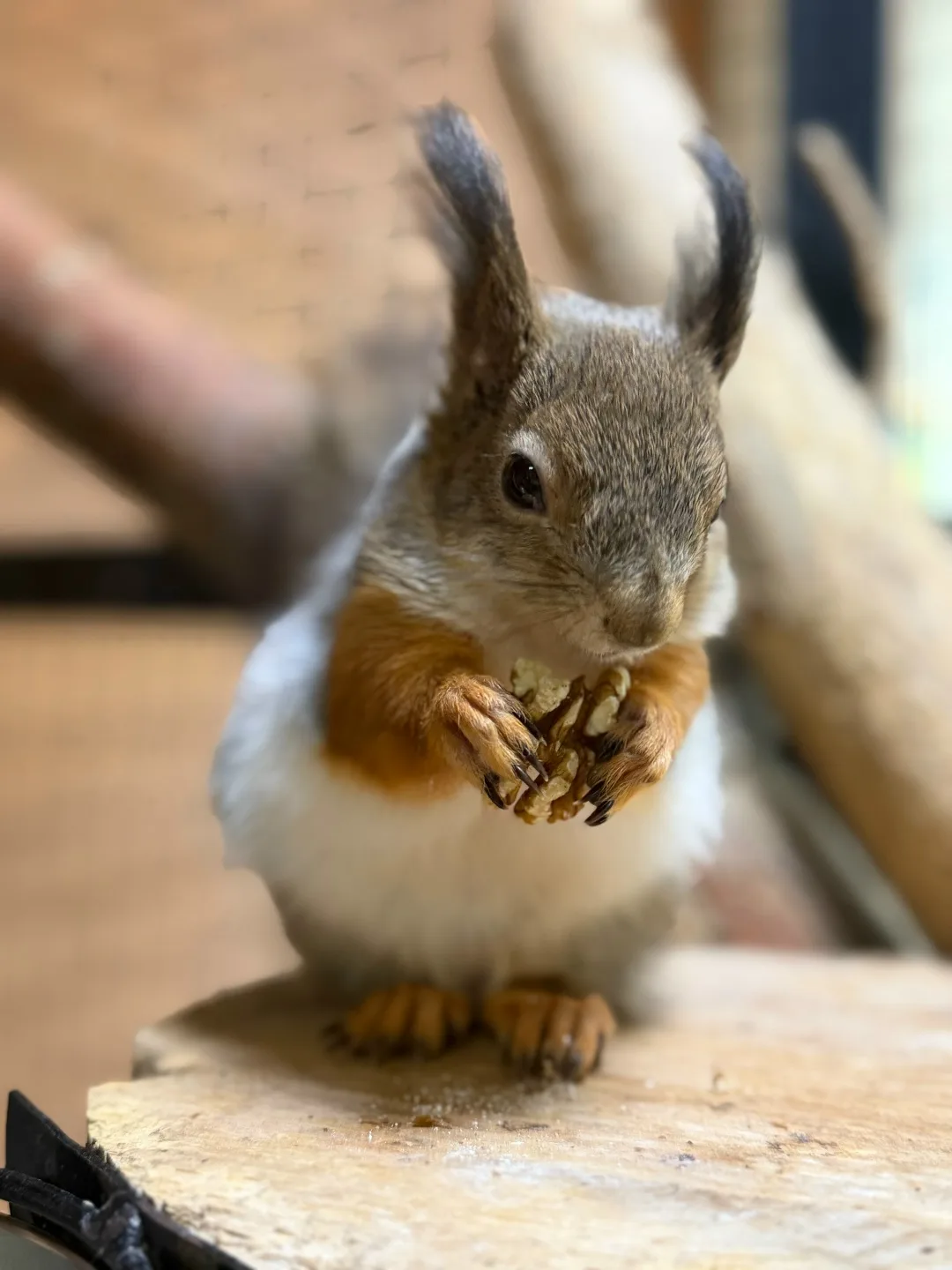 Досуг может быть познавательным🐽🐰🐸🐔🦎. Звуки, новые тактильные ощущения и возможнос...