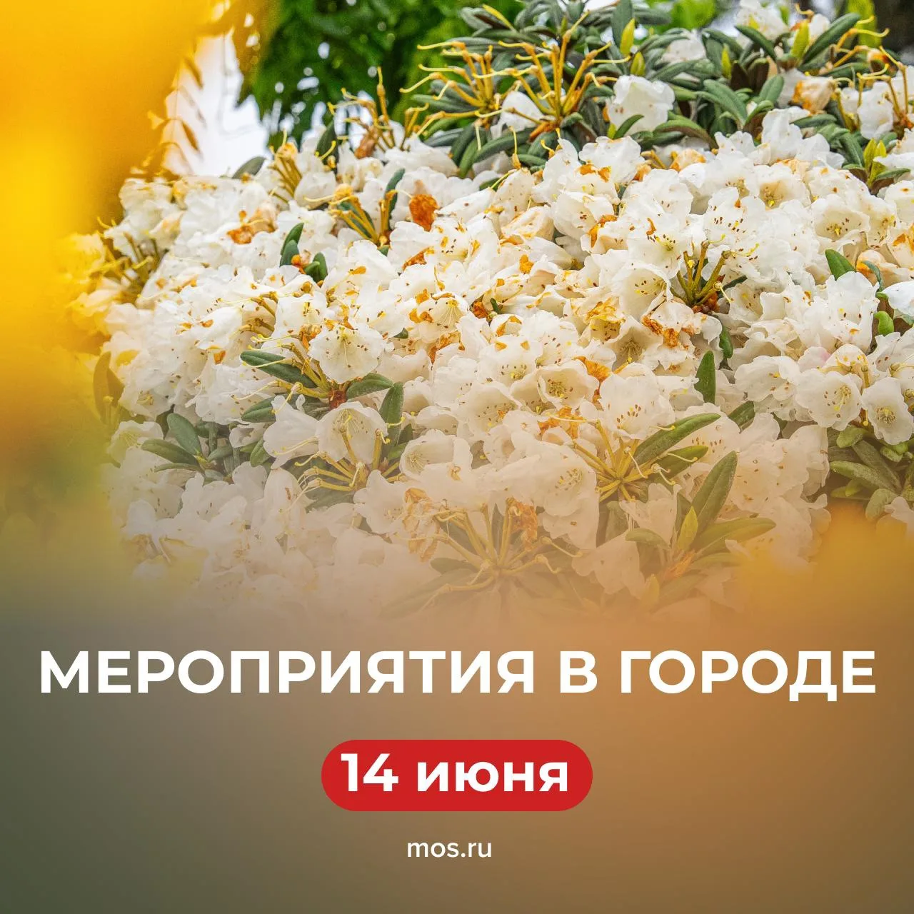 😻 Вот и настал последний день выходных… Не печалимся, а идем на городские площадки!

⚔️ Фестиваль «