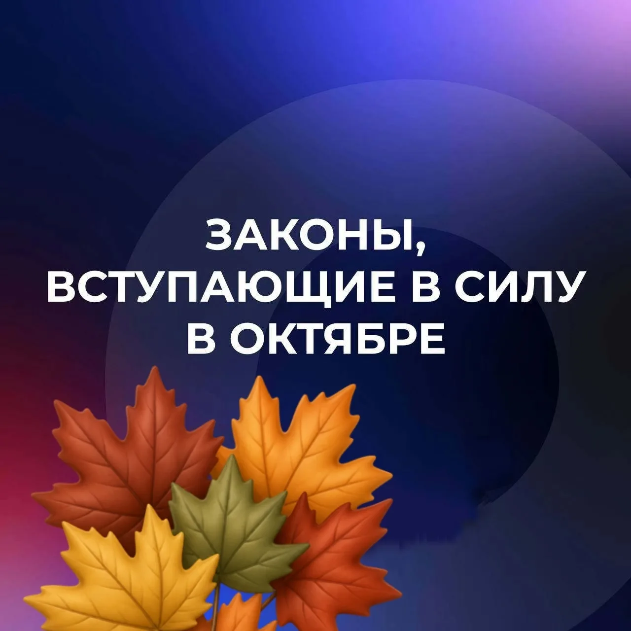 ⚡️ Законы, вступающие в силу в октябре